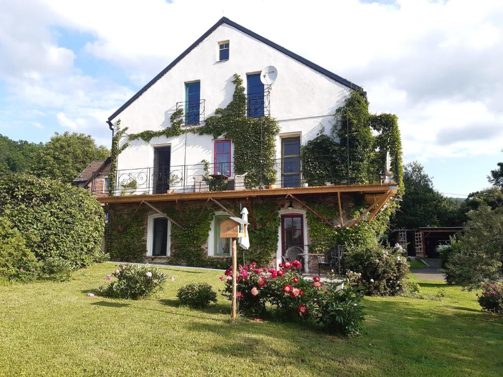 Zahrada ubytování Apartmány Ruprechtov