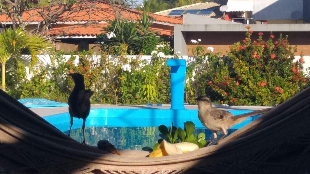  Casa de Praia Planeta Guarajuba