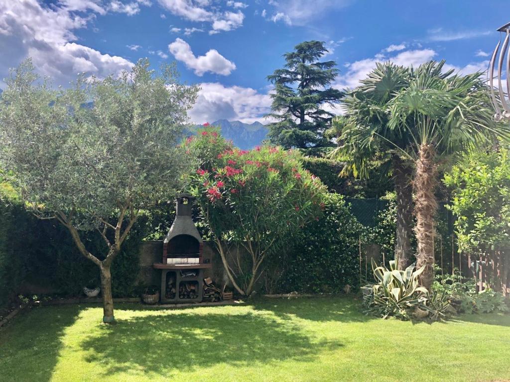 ogród z drzewami i grill w trawie w obiekcie Olive Garden w mieście Riva del Garda