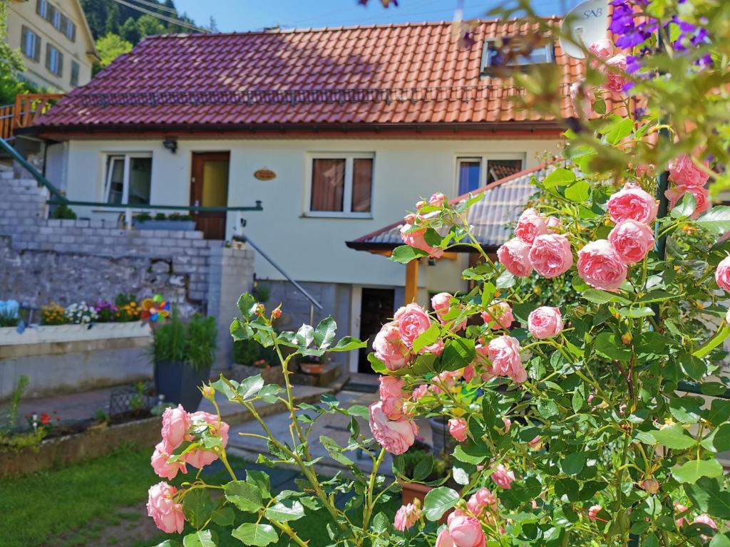 ein Haus mit rosa Rosen davor in der Unterkunft Ferienwohnung TAL-ECK in Bad Teinach-Zavelstein