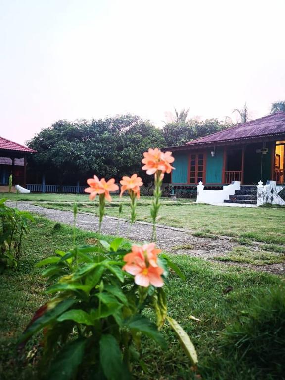 Homestay Kampong Pak Ali Malacca Updated 2021 Prices