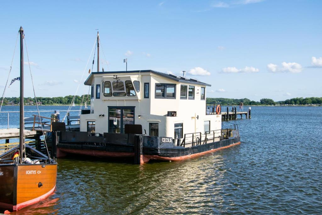 eine Fähre im Wasser anlegt in der Unterkunft Island-dreams Hausboot Cecilie in Schleswig