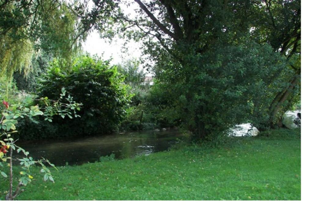 un pequeño estanque en un campo de hierba junto a un árbol en Chambres d'Hôtes Arques en Ciel, en Arques-la-Bataille