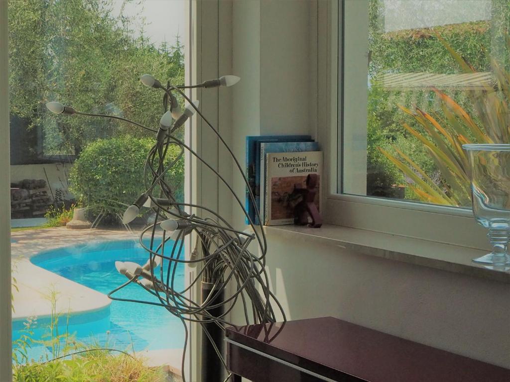 a plant sitting on a window sill next to a pool at Fair Garden in Bardolino