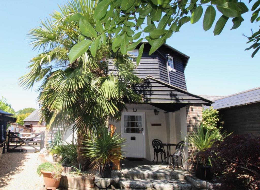 une maison avec un palmier en face dans l'établissement Hunston Mill Self Catering Dog Friendly, à Chichester