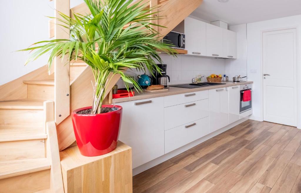 Kuchyň nebo kuchyňský kout v ubytování Lyon Urban Cocoon Gîte urbain eco-responsable