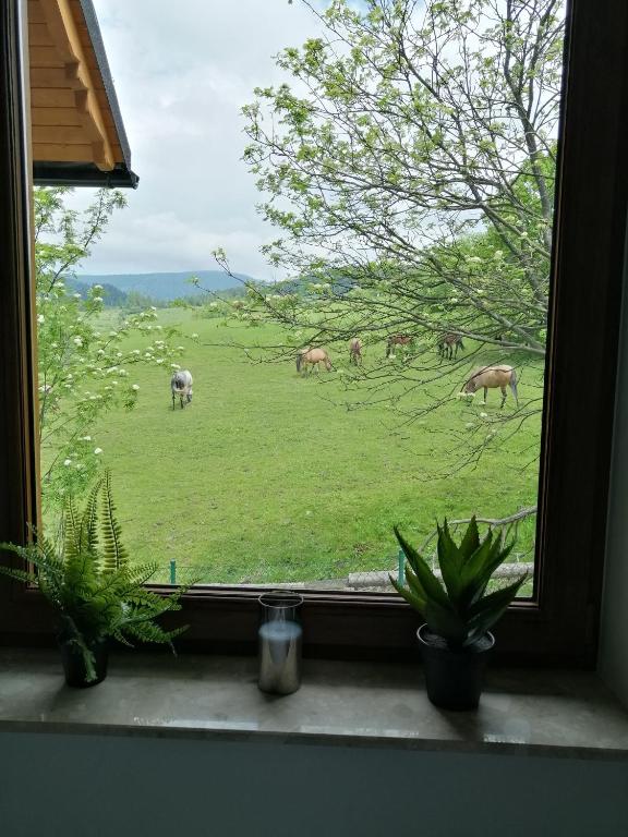 Príroda v okolí apartmánu