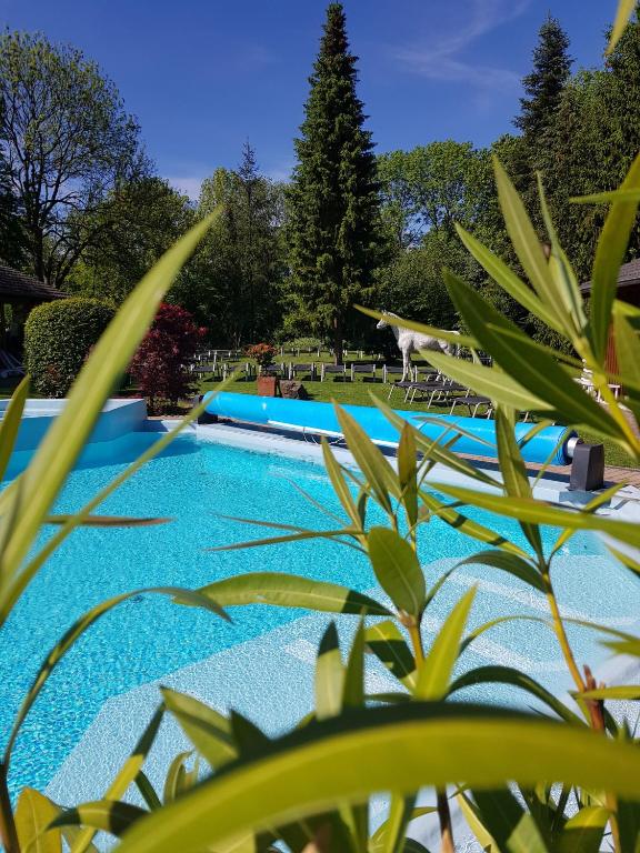 Bazén v ubytování Hotel Eifelsteig nebo v jeho okolí