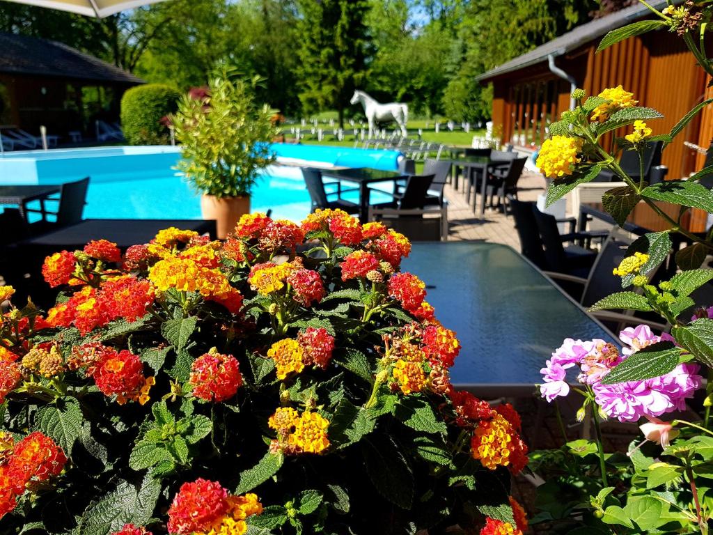 Bazén v ubytování Hotel Eifelsteig nebo v jeho okolí