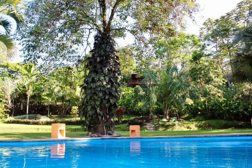 Bazén v ubytování Argovia Ecolodge nebo v jeho okolí