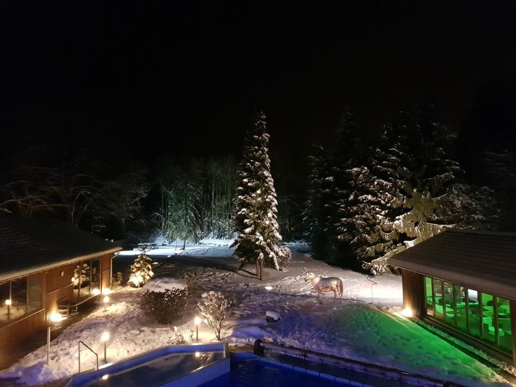 Hotel Eifelsteig v zimě