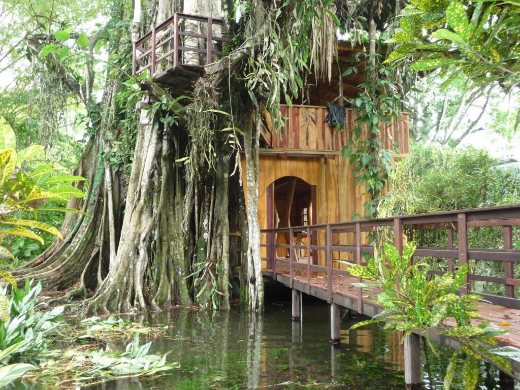 Zahrada ubytování Topos Tree House