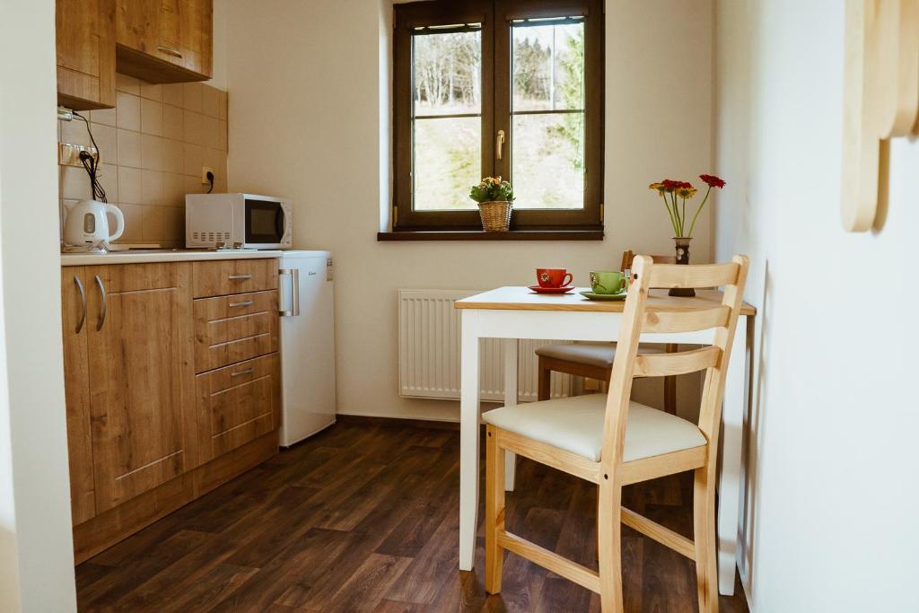 Kuchyň nebo kuchyňský kout v ubytování Apartmány Pod Stráni