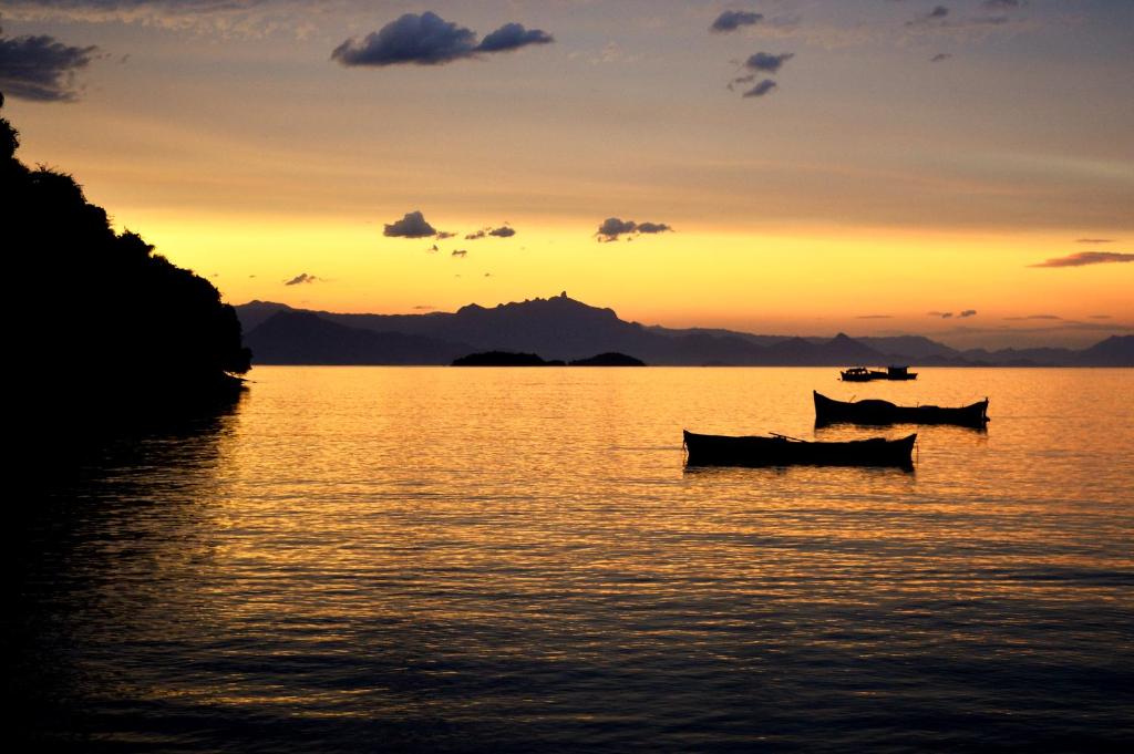  Geko Pousada Paraty
