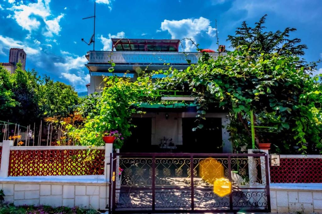Zahrada ubytování Apartment Gea 2