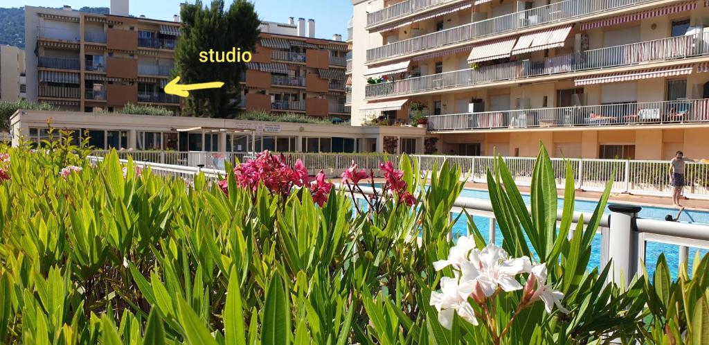 a group of flowers in front of a swimming pool at Les Caroubiers in Roquebrune-Cap-Martin