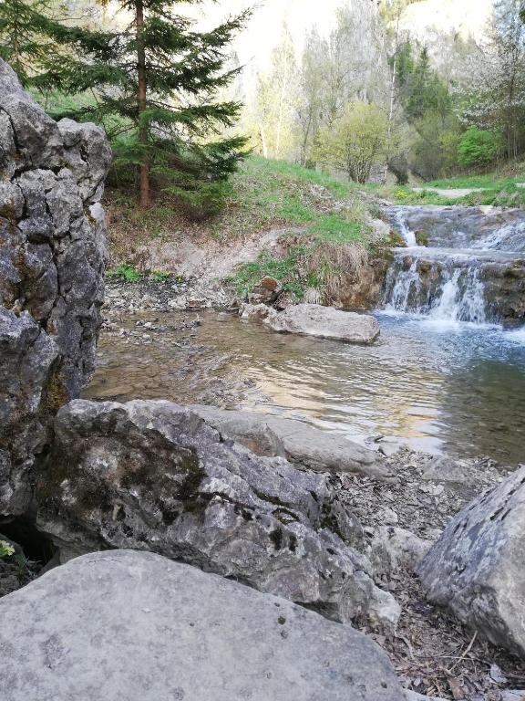 Príroda v okolí apartmánu
