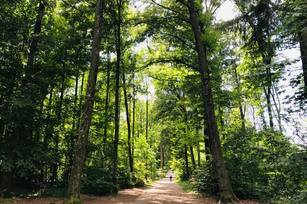 -TheUrbanist- - Resim 11