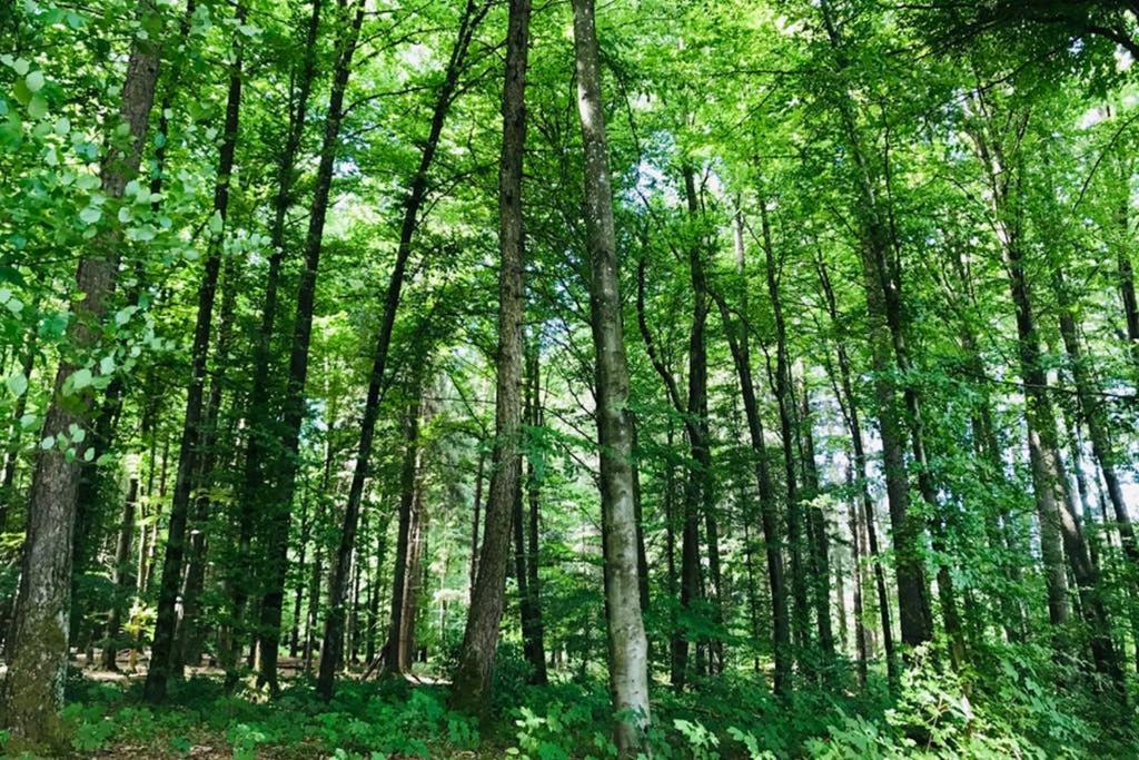 -TheUrbanist- - Resim 19