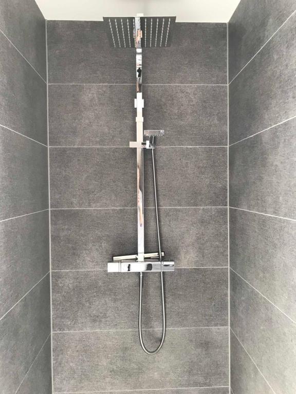 a shower with a shower head in a bathroom at Ferienhaus Live Deluxe in der schönen Uckermark in Meyenburg