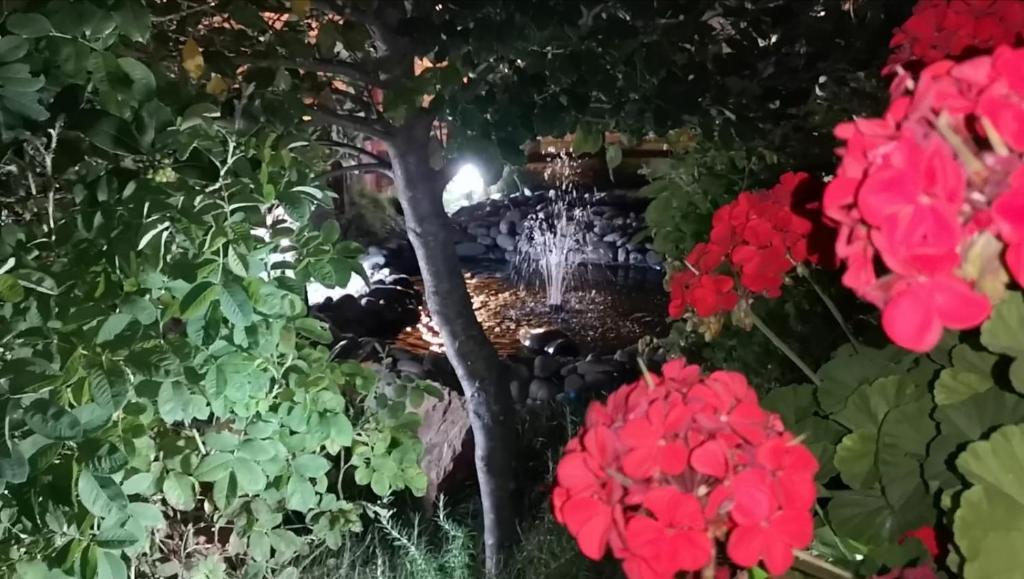 Giardino di Hotel Miramonti Seulo Turismo Rurale