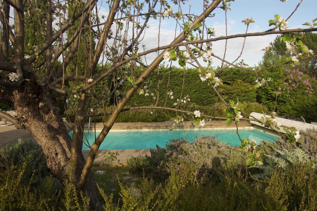 una piscina in un giardino con un albero di Mas de la Lézardière — Maison d'Artiste a Manosque