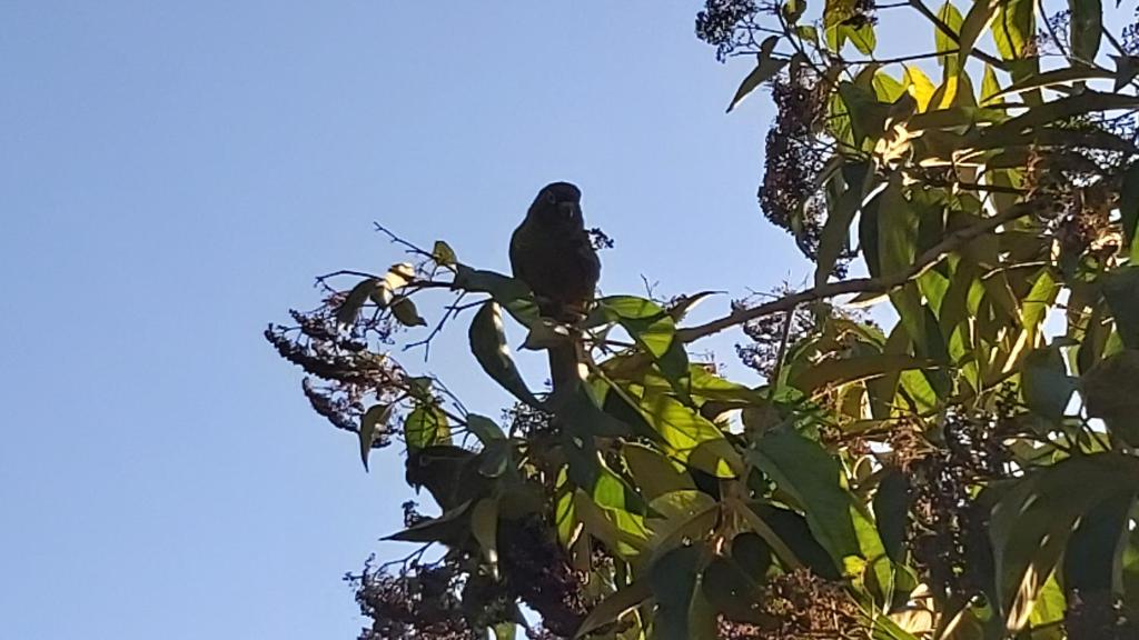  Lolosa Suítes Container