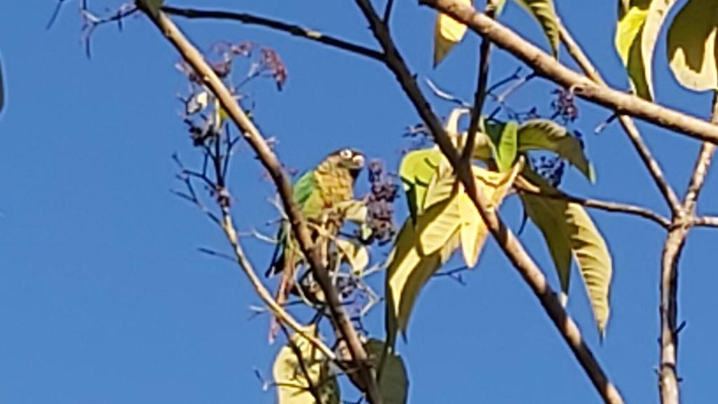  Lolosa Suítes Container