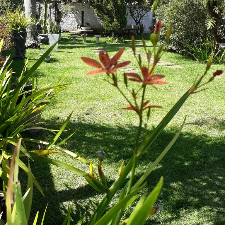  Chalé Morada dos Pássaros