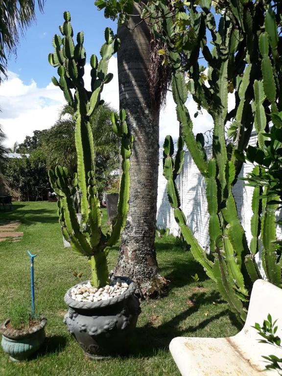  Chalé Morada dos Pássaros