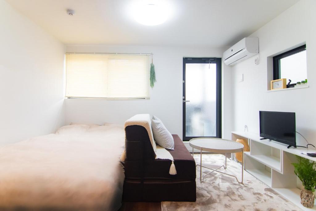 TV a/nebo společenská místnost v ubytování Base Hanegi Apartment