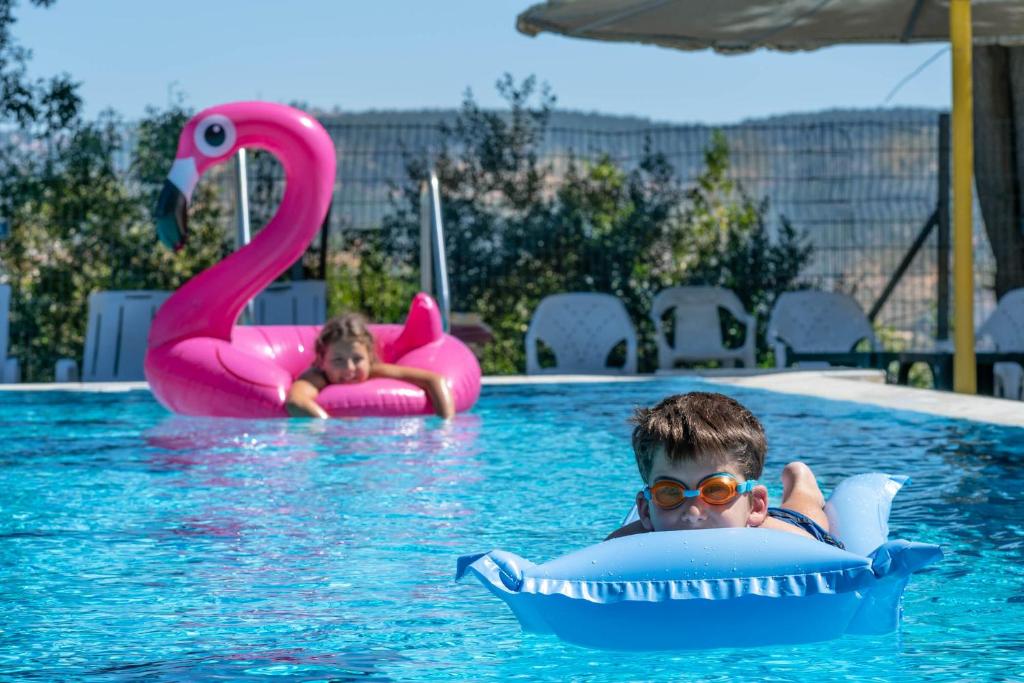 Bazén v ubytování Tzuba Hotel nebo v jeho okolí