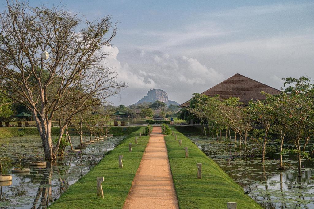 a path in a garden with a mountain in the background at Water Garden Sigiriya in Sigiriya