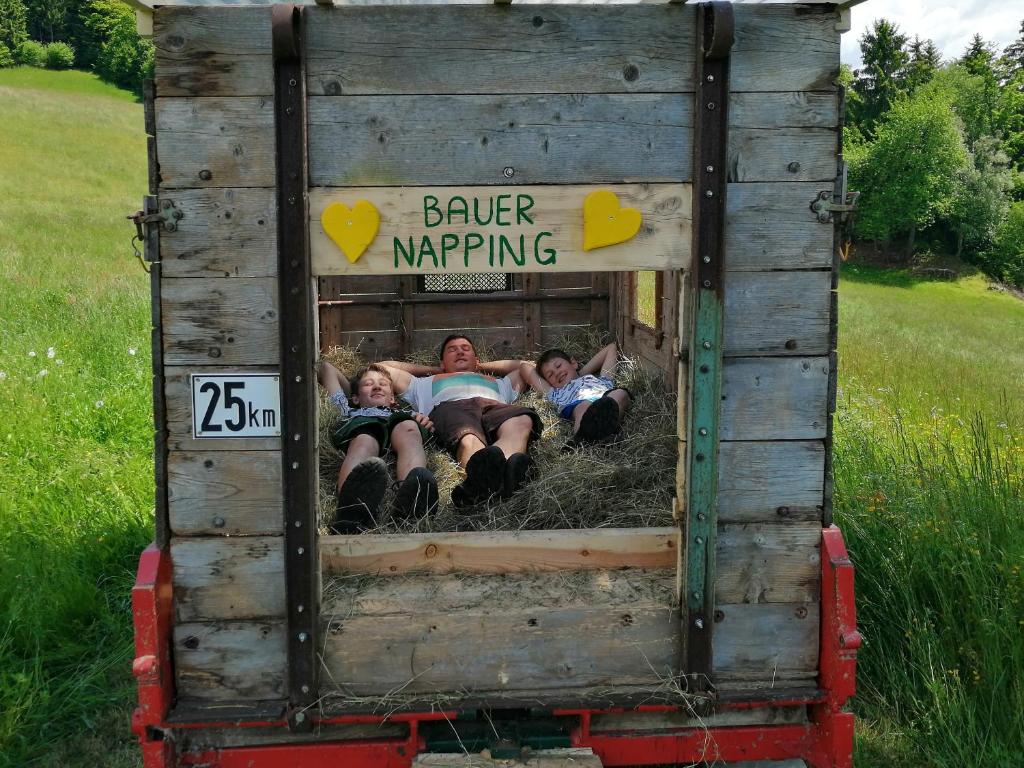 3 Leute, die hinten auf einem Holzwagen liegen in der Unterkunft Bergbauernhof Stauder - Hirschbergalpakas in Lendorf