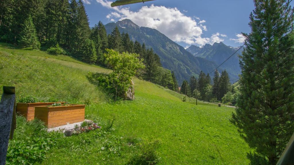 Příroda nedaleko apartmánu