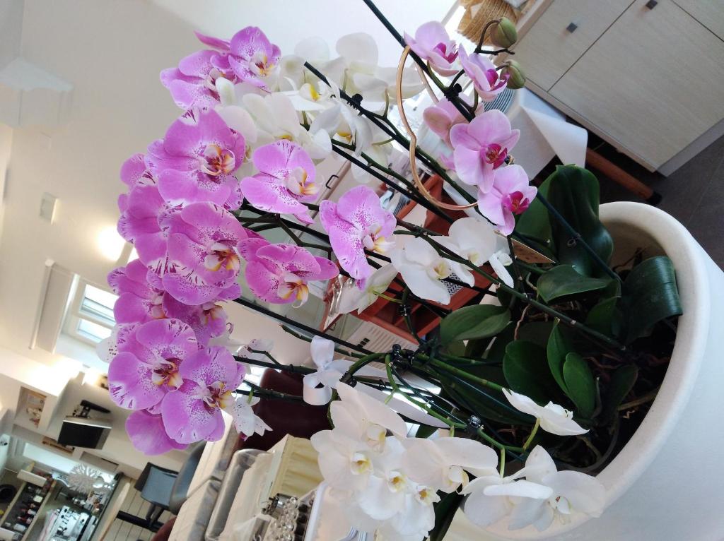 Fotografie z fotogalerie ubytování Hotel Orchidea v destinaci Bardolino