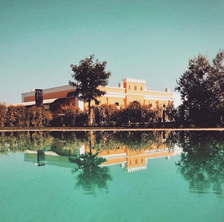 The swimming pool at or close to Tenuta Orsanese