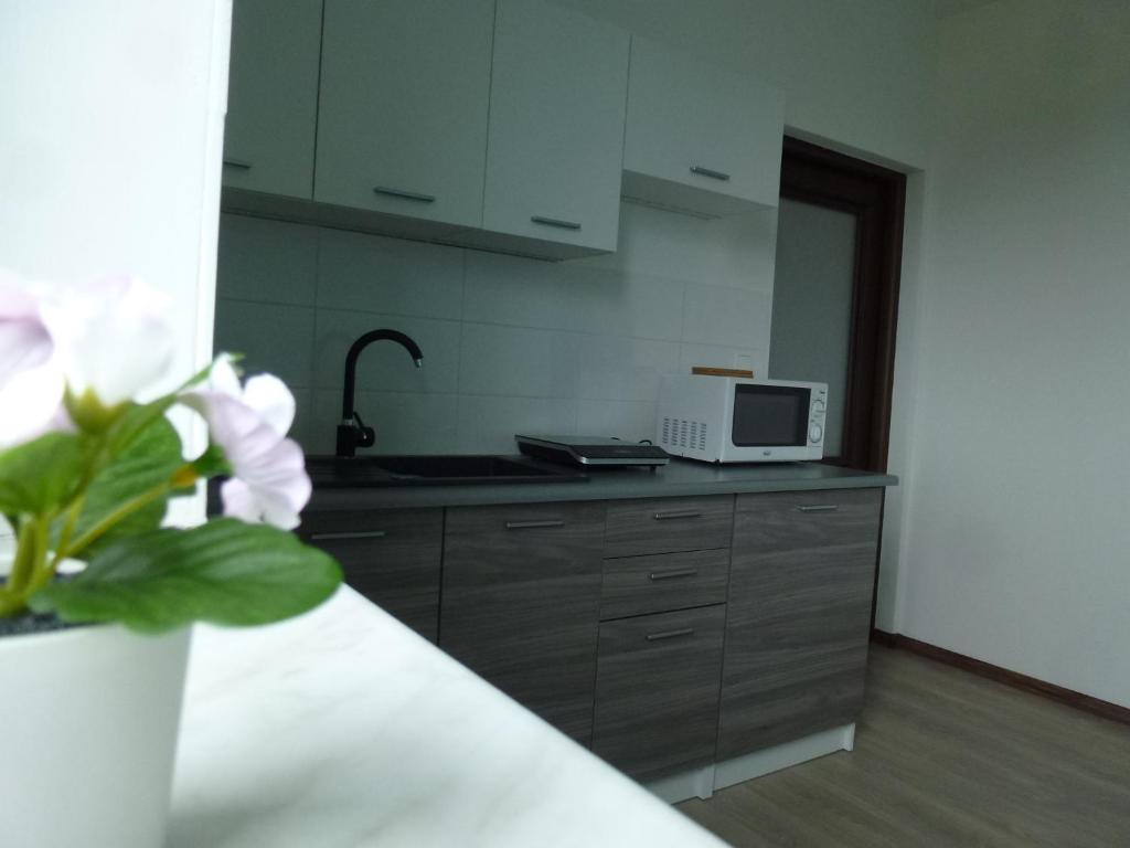 Köök või kööginurk majutusasutuses Apartmány Stdaniela