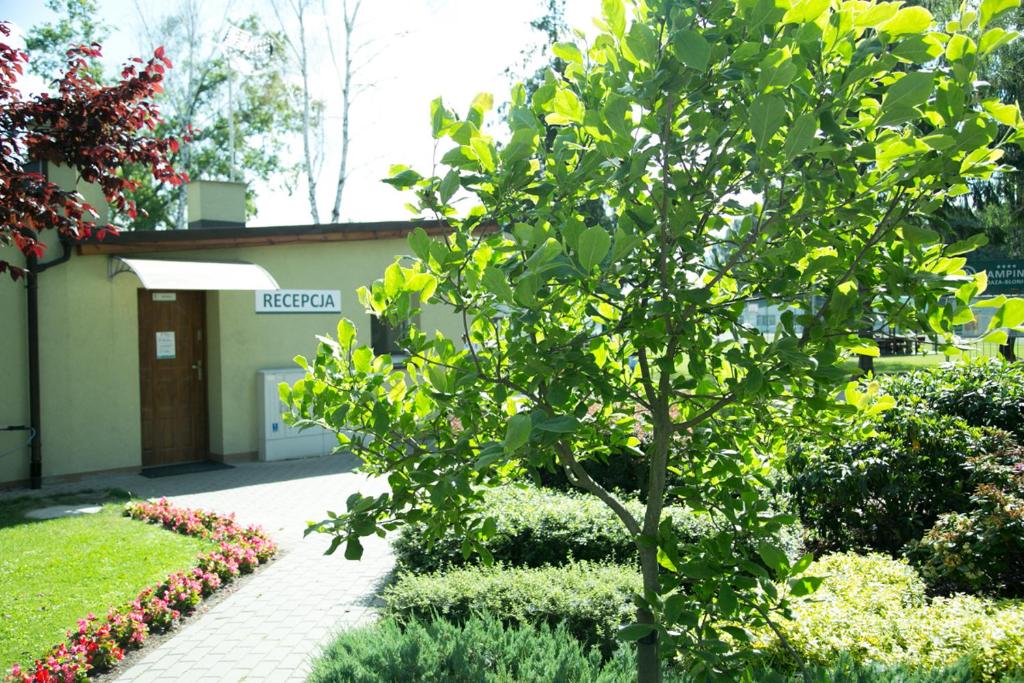 Vonkajšia záhrada v ubytovaní Camping Oaza Błonie Kórnik Domki Standard - 3 pokoje