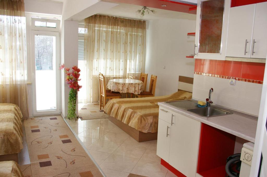 a kitchen and a bedroom with a bed and a sink at Orchideia Studios in Sandanski