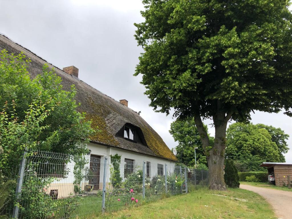 a house with a tree next to a fence at Ferienwohnung Landhaus in Zurow