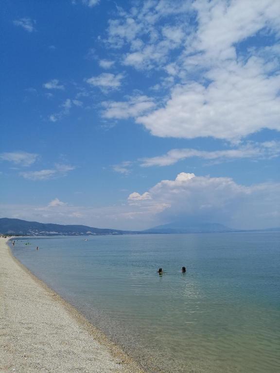 grupa ludzi pływających w wodzie na plaży w obiekcie Apartments Christina w mieście Nea Vrasna