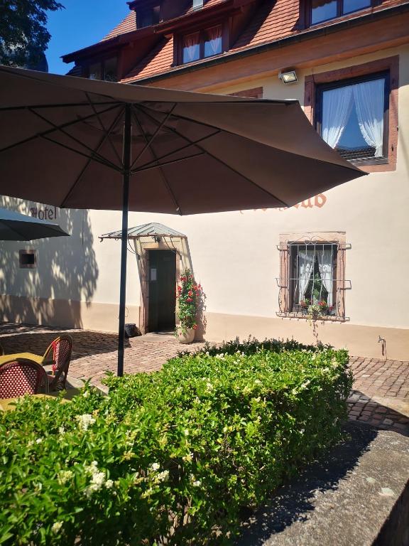 Zahrada ubytování Hotel Wistub Le PasSage