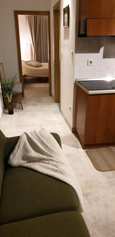 salon z kanapą i kuchnią w obiekcie Apartments Cocaletto5 w Rovinj