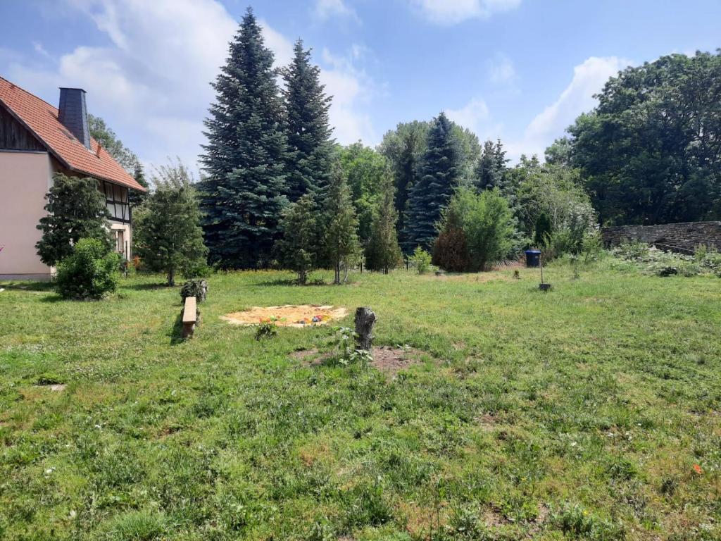 Villa Windschief - 9