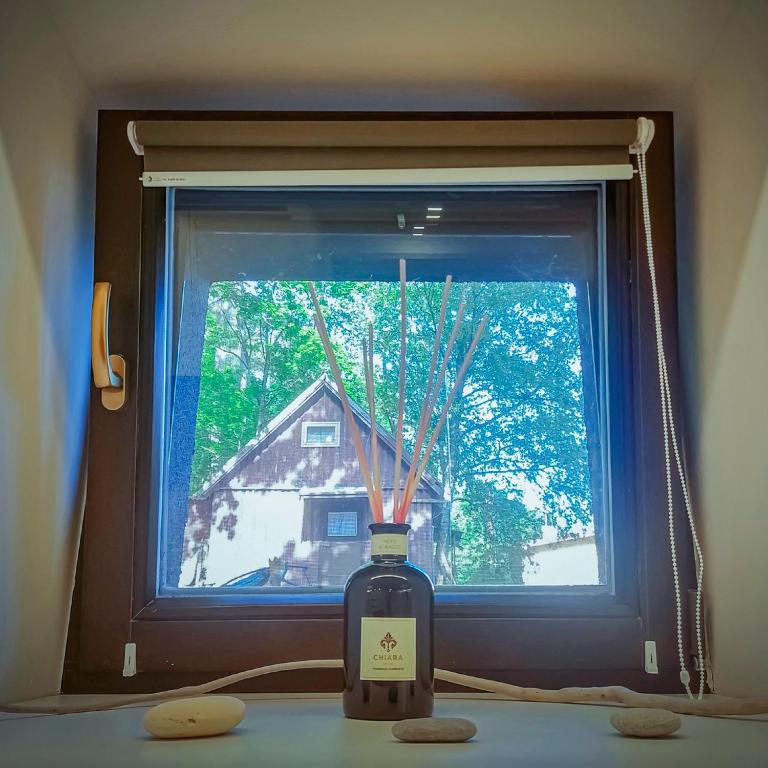 Fotografie z fotogalerie ubytování Comfy Rest apartments in Juodkrantė v destinaci Juodkrantė