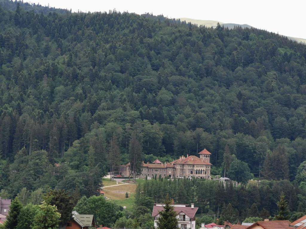 Příroda nedaleko hotelu