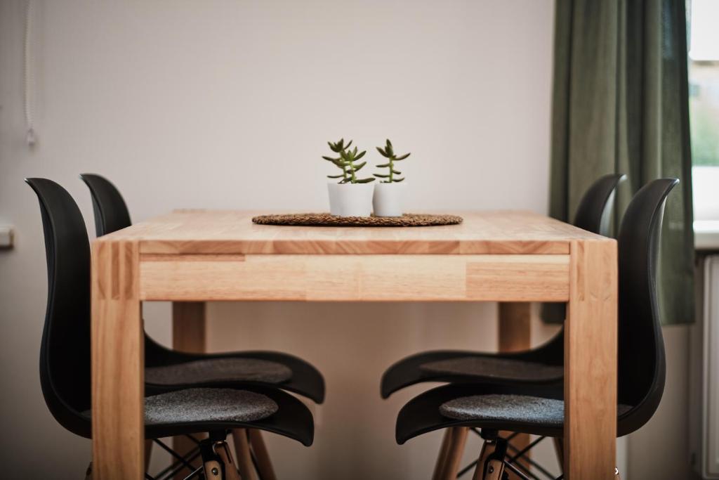 Tini´s Feinstes - 14