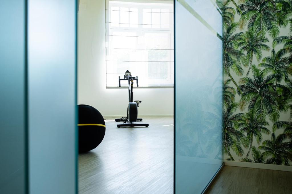 Fitness centrum a/nebo fitness zařízení v ubytování Hotel Savoy