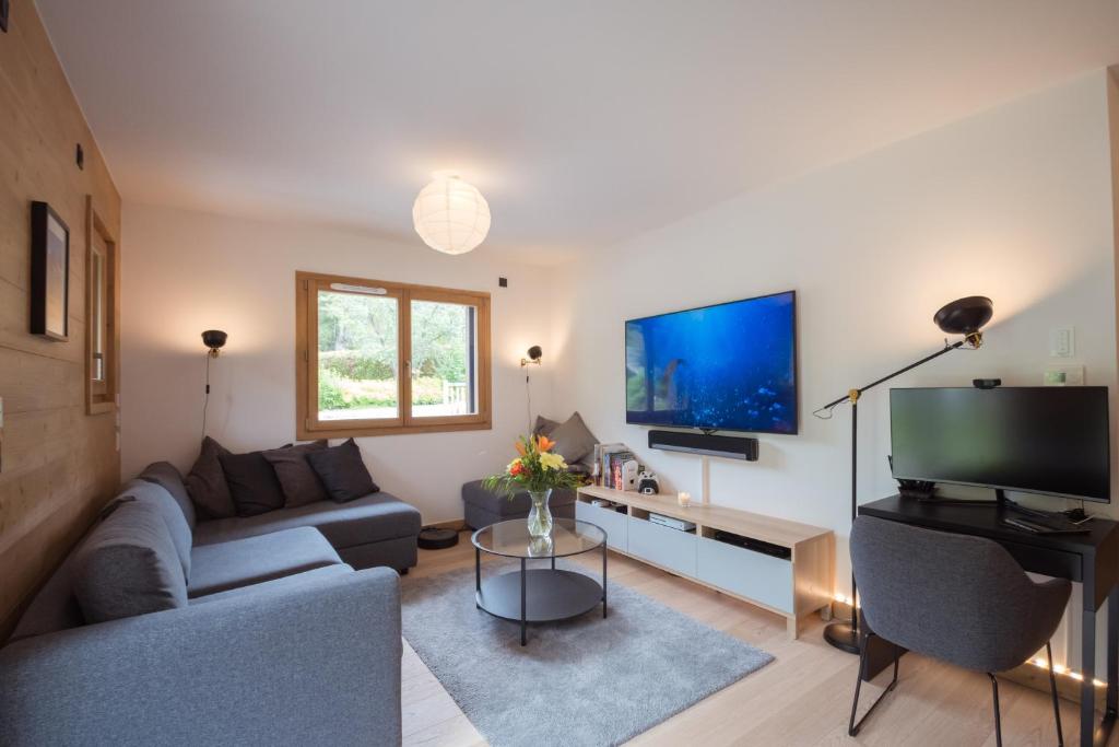 ein Wohnzimmer mit einem Sofa und einem TV in der Unterkunft Résidence Le Green in Chamonix-Mont-Blanc
